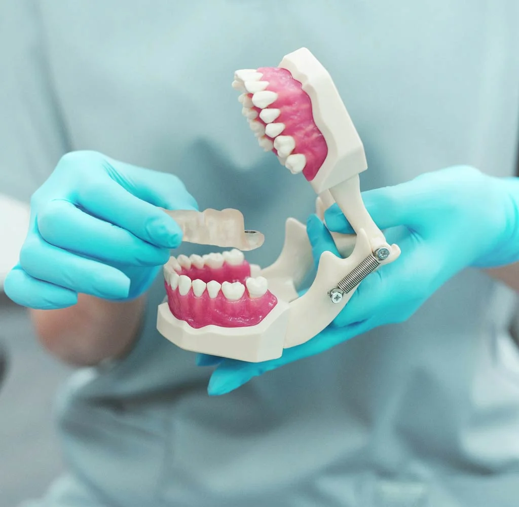 רופא שיניים מחזיק מודל דנטלי, המציג יישור שיניים ואסתטיקה.